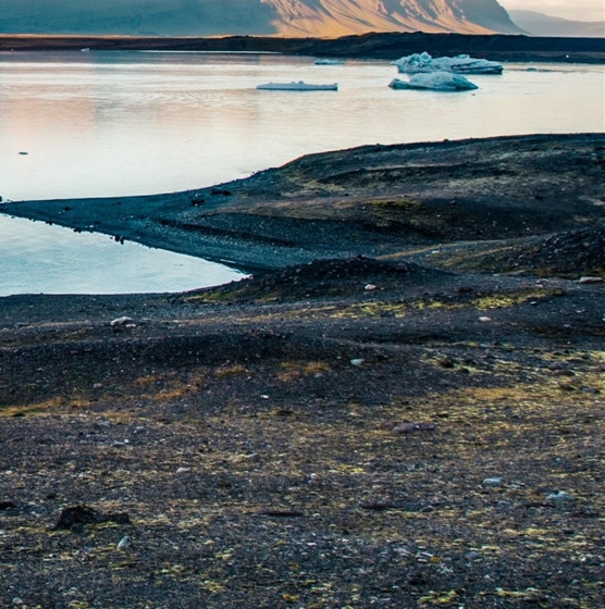 粉象生活淘宝客怎么赚钱