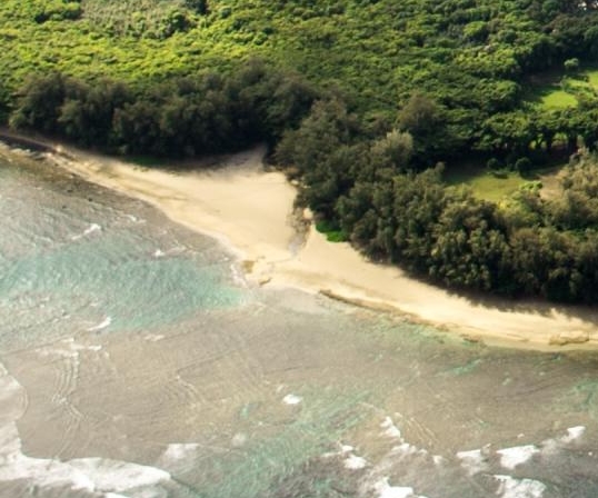 粉象生活引流吸粉