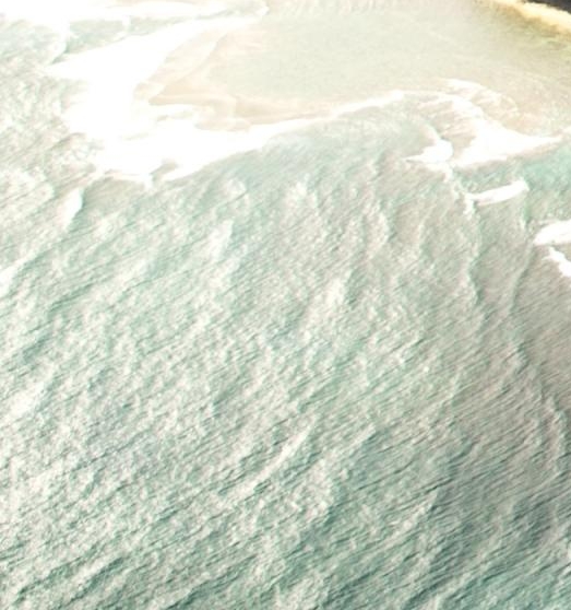 欢迎加入粉象生活