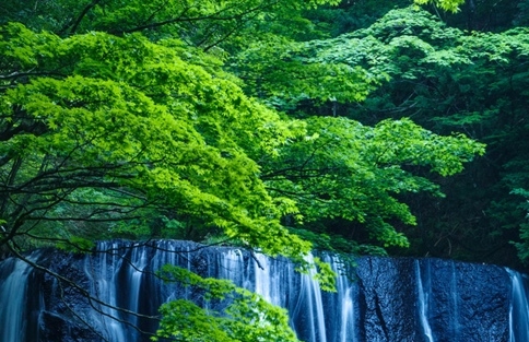 粉象生活月报