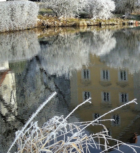 福州粉象生活佣金
