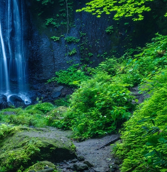 粉象生活如何退出