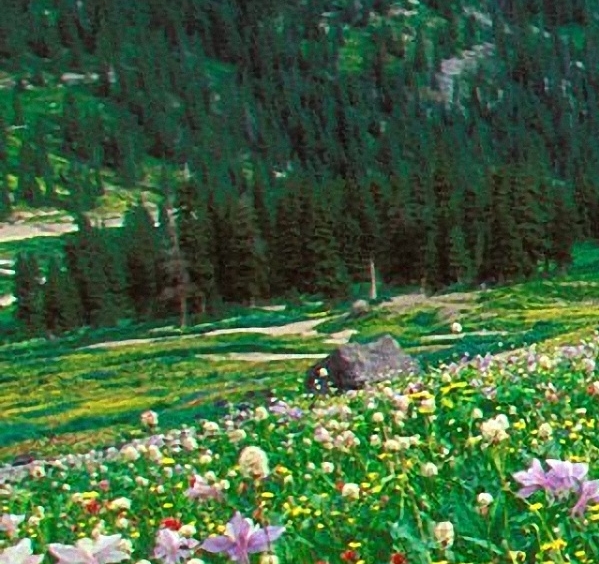 粉象生活如何收款