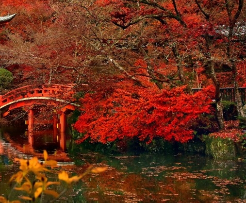 粉象生活的用户数据