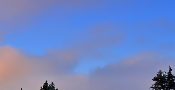 粉象生活官方收入