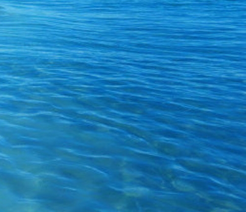 湖南本地生活网下载