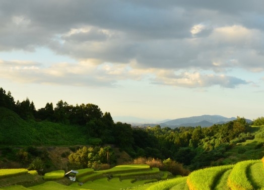 粉象生活本地生活