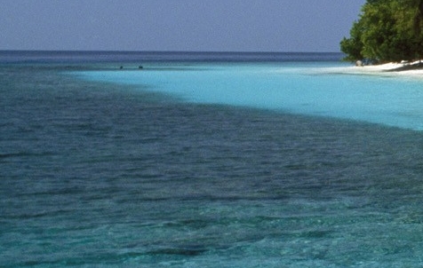 粉象生活下载app