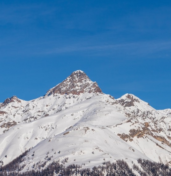 湖州粉象生活vip