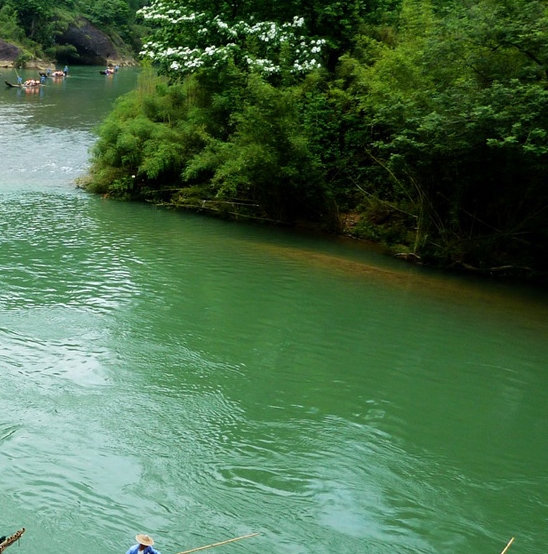 粉象生活能赚到钱吗