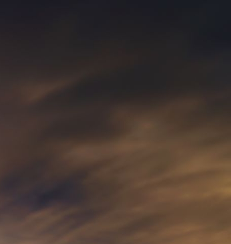 粉象生活广州公司