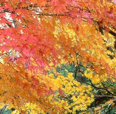 武汉市粉象生活