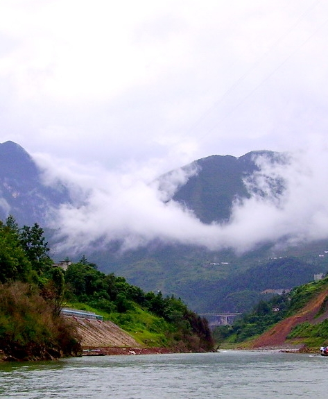 粉象生活奖励计划