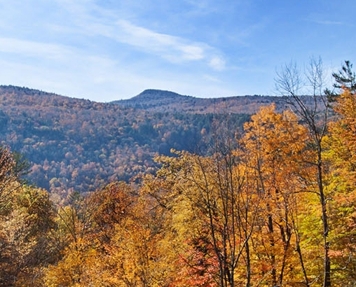 粉象生活邀请码