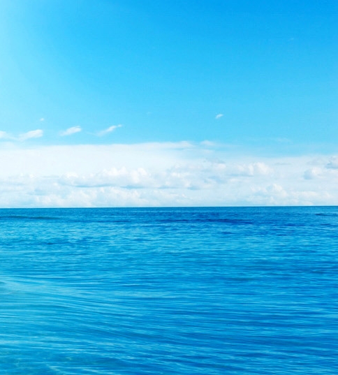 粉象和阿里巴巴战略合作