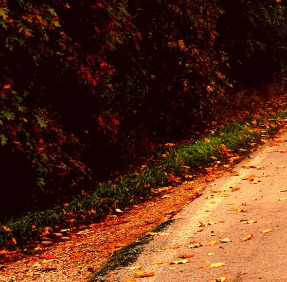 粉象生活可以赚钱吗