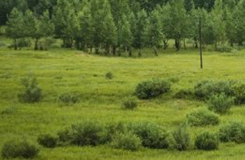 粉象生活乱发货不换货