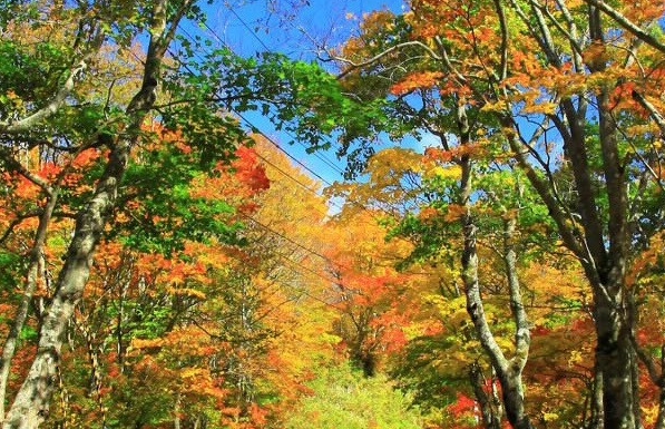 赣州监狱的生活条件