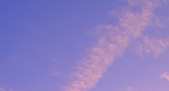 粉象生活真假查询