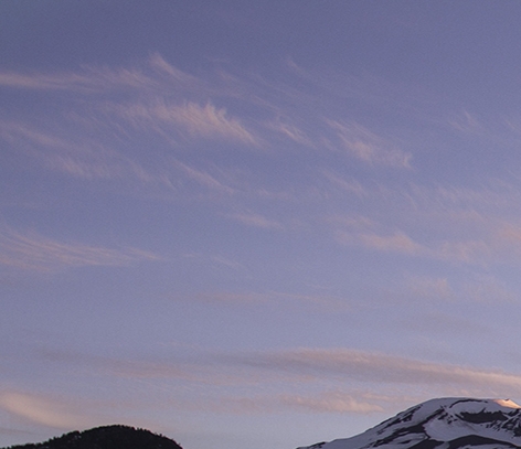 潍坊粉象生活收入