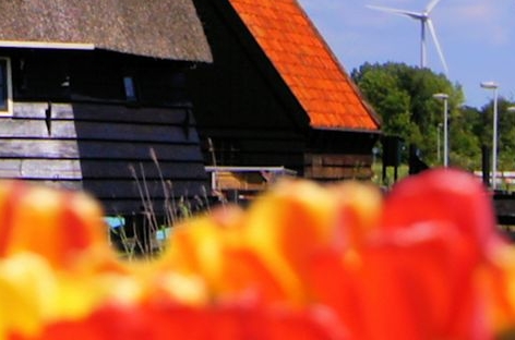 粉象生活如何成为优质用户