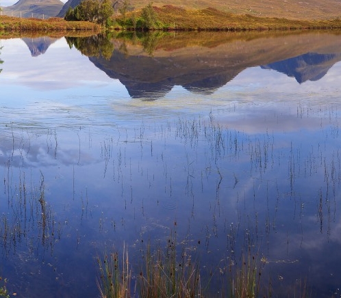如何选择粉象生活