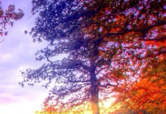 福袋生活粉象生活