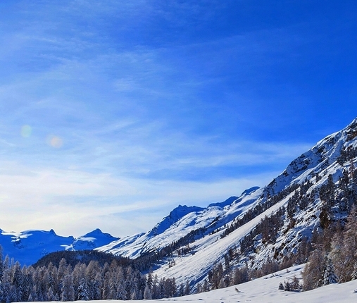 粉象生活骗人么