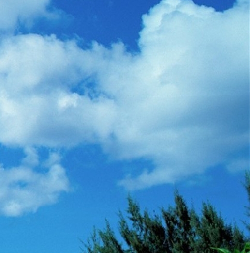 粉象生活无邀请码注册