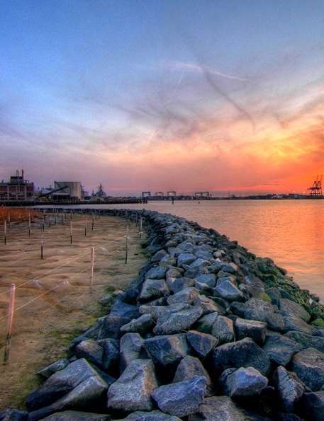 粉象生活下载app