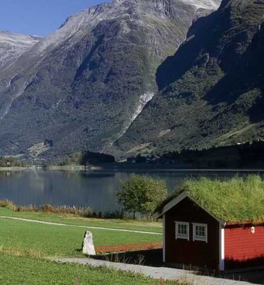 粉象生活融资了吗粉象生活