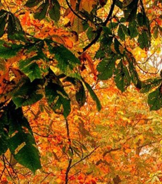 大庆朋友圈音乐餐厅