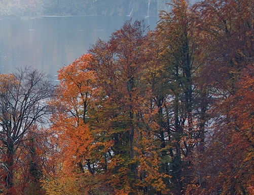 粉象生活投诉热线