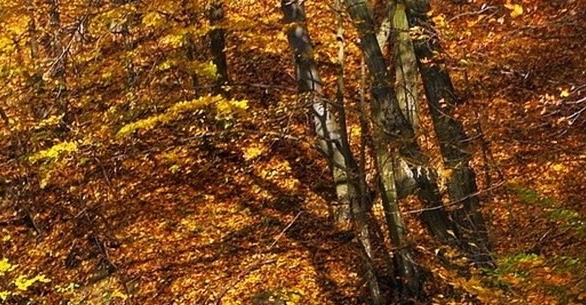 粉象生活怎么删除购物