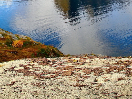 粉象生活是什么