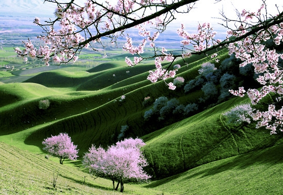 快手小店评分低怎么提高