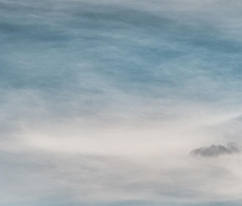 粉象生活官方返利