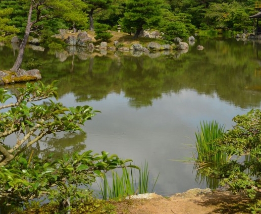 粉象生活粉丝怎么增加