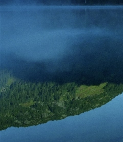 粉象生活怎么赚钱的