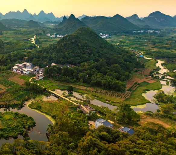 粉象生活真实收入