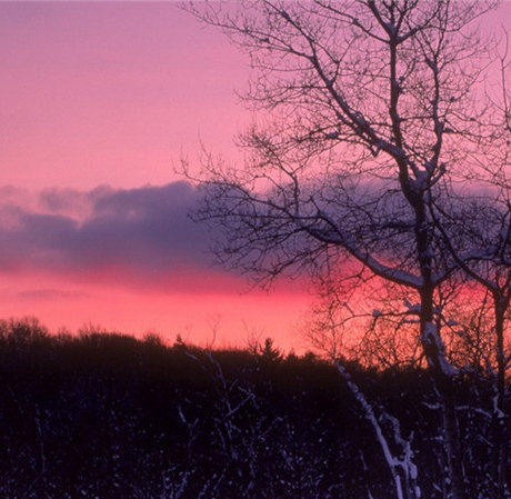 电商粉象生活是什么