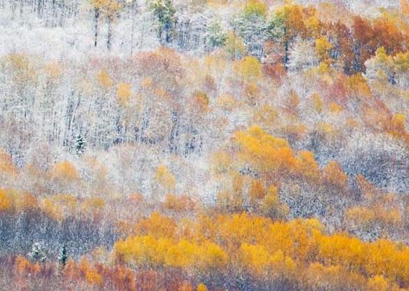 粉象生活粉丝怎么增加