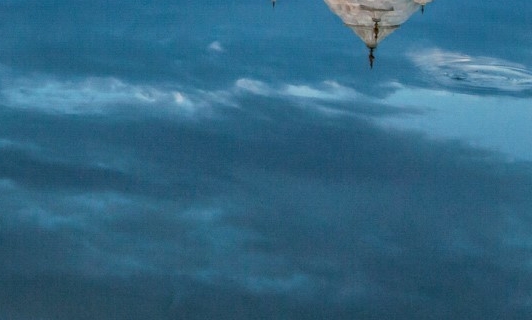 粉象生活宝妈如何挣钱