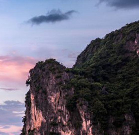 粉象生活注册需要哪些条件