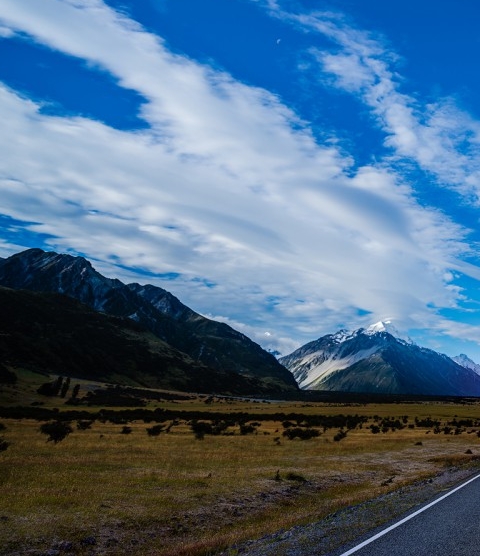 粉象生活是正规产品吗