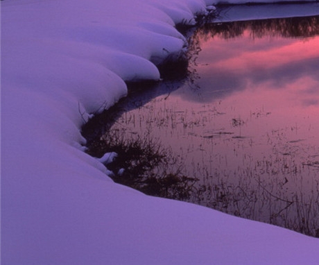粉象生活推广有奖励吗