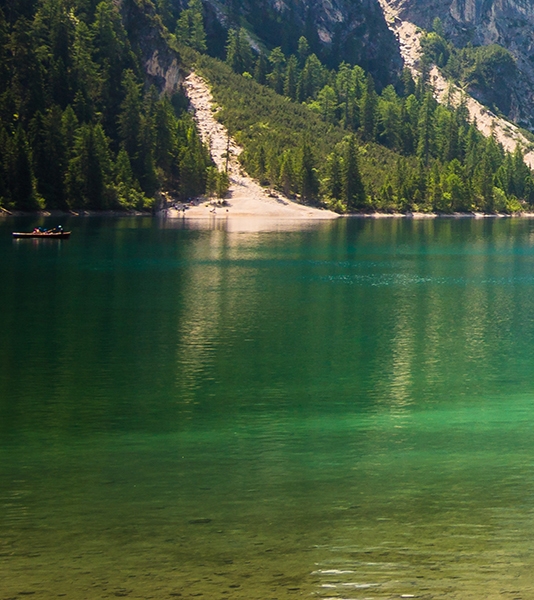 粉象生活188红包