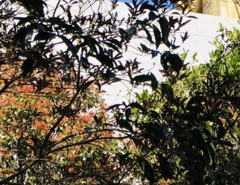 社交粉象生活融资