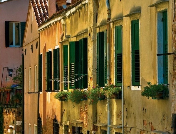 粉象生活玩闲鱼