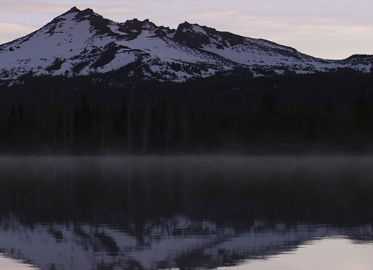 果冻宝盒和粉象生活哪个好